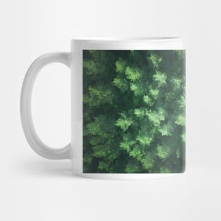 Top down aerial view of pine forest Mug